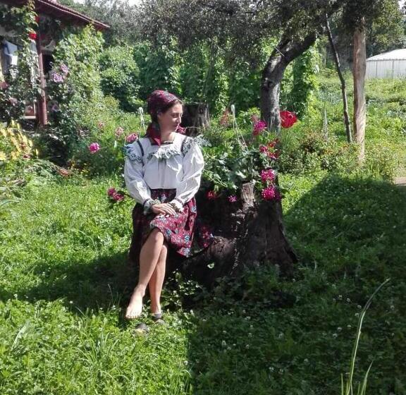 בית מלון כפרי La Vasile La Cazan