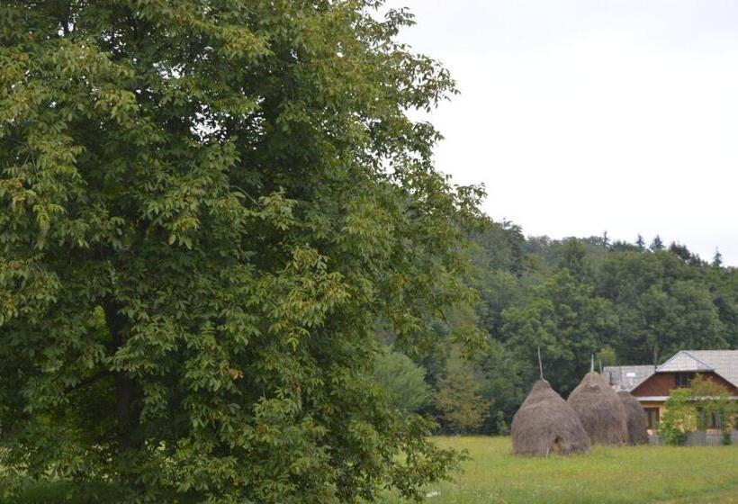 בית מלון כפרי La Vasile La Cazan