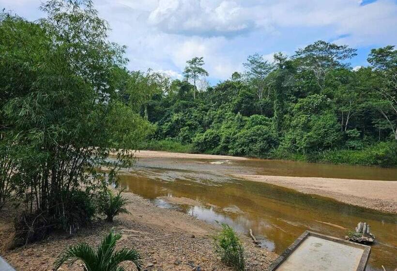 ホテル Riverside Palm Inn Sg Lembing
