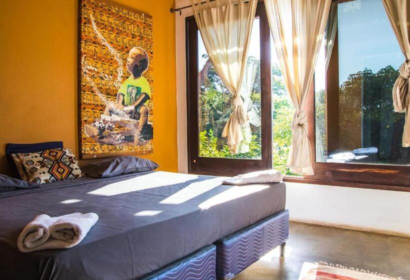 פנסיון Casa Del Arte   Rooms With Private And Shared Bathrooms