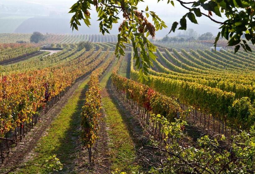 펜션 Weingut Breitenfelder