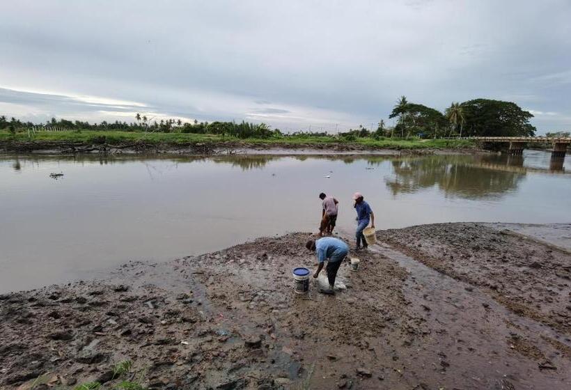 منتجع Dangau Sala D Kontena