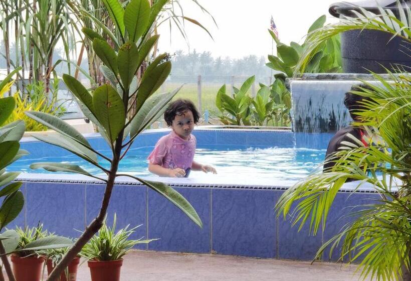 منتجع Dangau Sala D Kontena