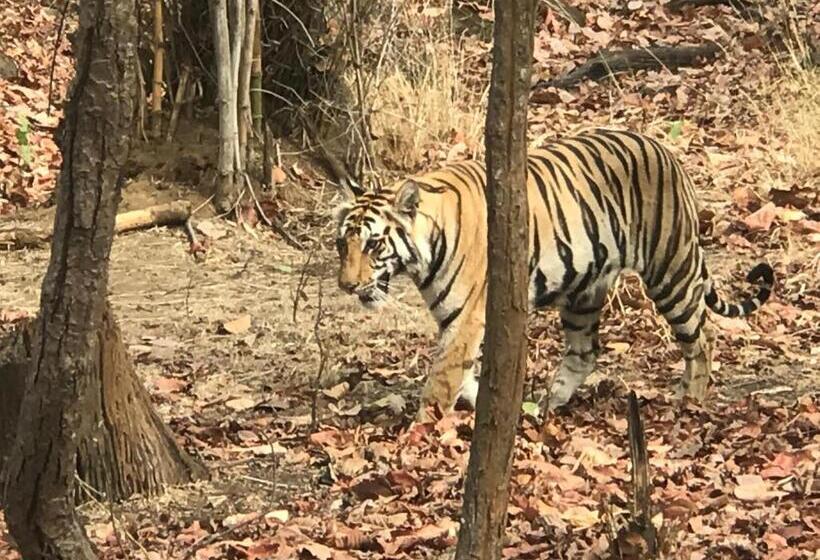 リゾートホテル Emerald Tiger Retreat