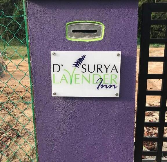 هاستل D  Surya Lavender Inn