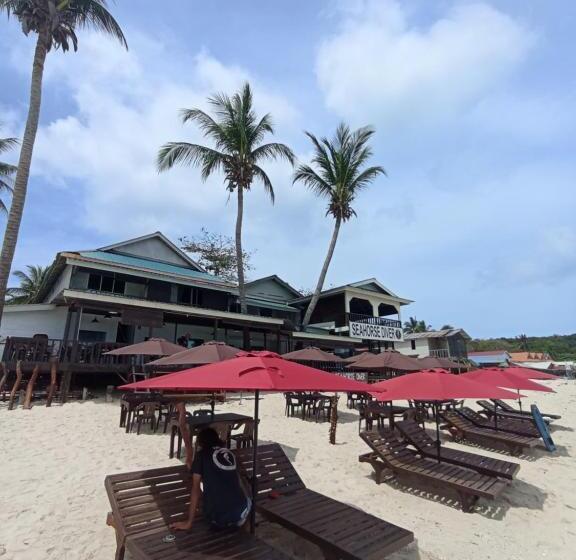 Общежитие Seahorse Diver Guesthouse