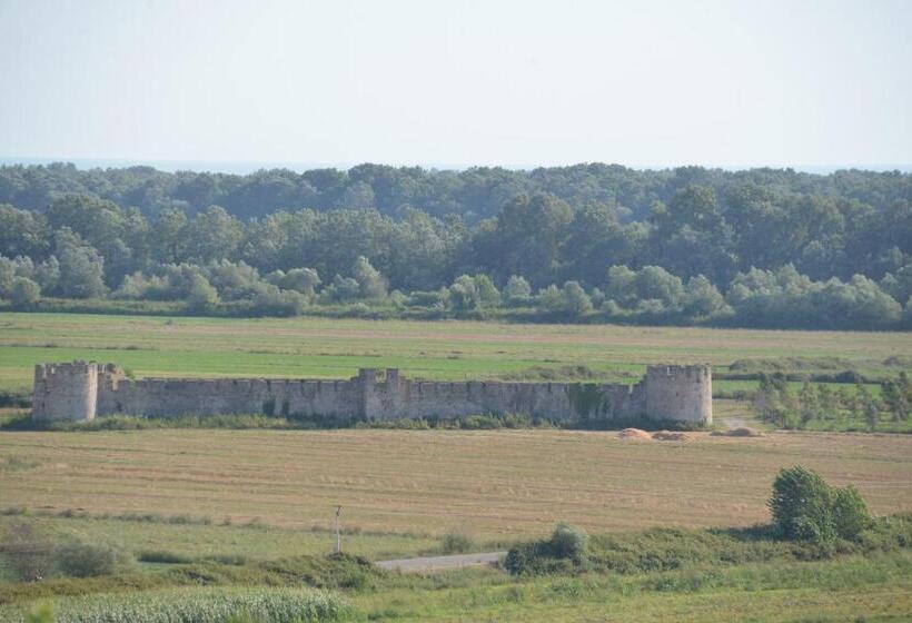 Отель Panorama Guesthouse