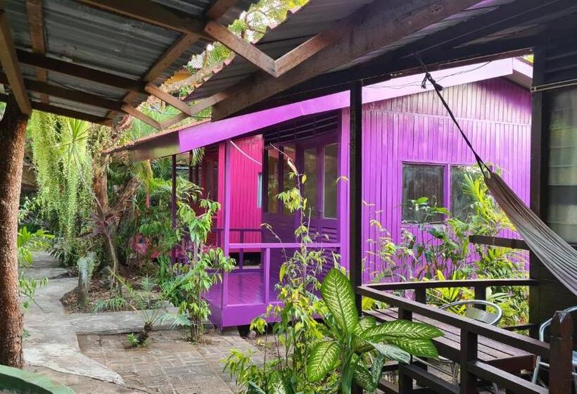پانسیون Gecko Guesthouse