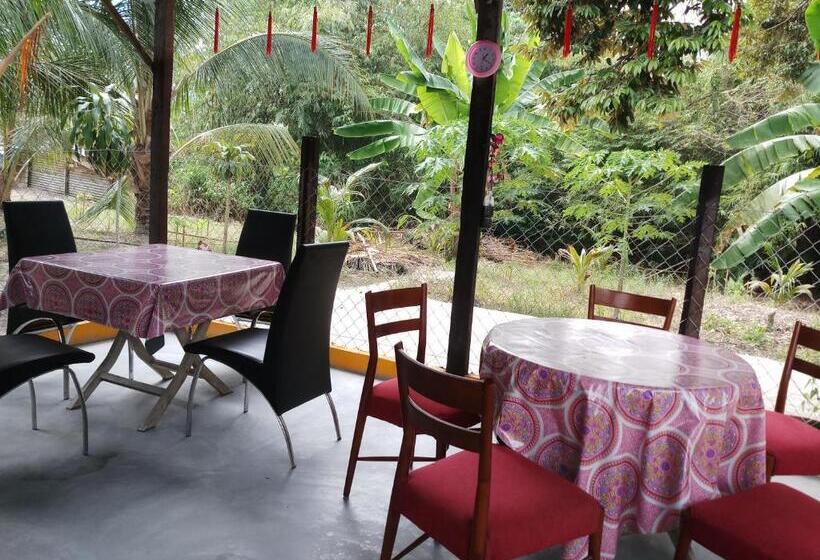 פנסיון Tony’s Guesthouse At Teluk Bahang