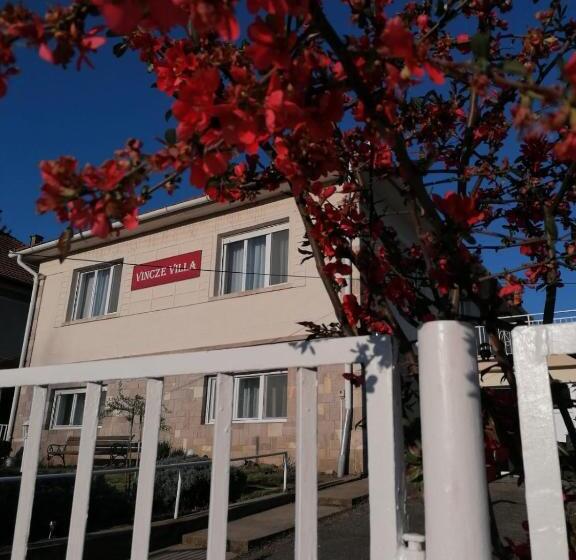 ペンション Vincze Villa Vendégház