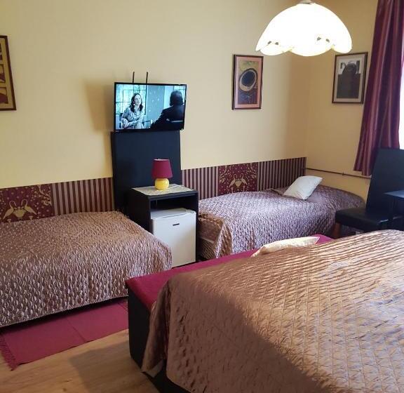פנסיון Vincze Villa Vendégház