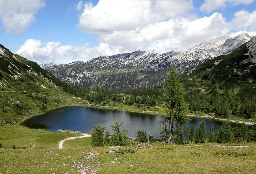 Alpenhotel Steirerhof