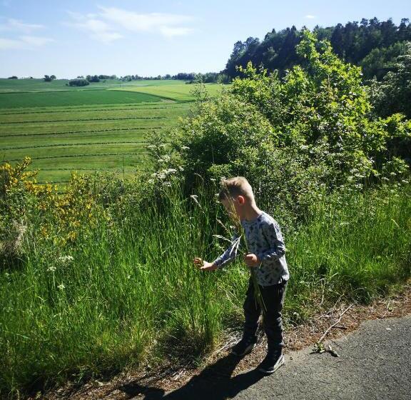 ホテル Haus Marvin