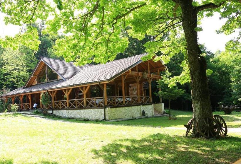 膳宿费 Cabana Izvoranu