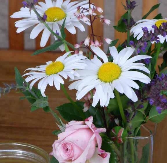 Пансион Gästehaus Alte Bergmühle