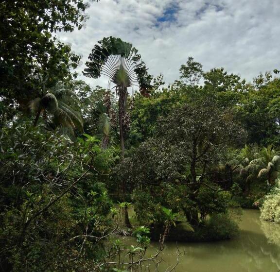 Sepilok Jungle Resort