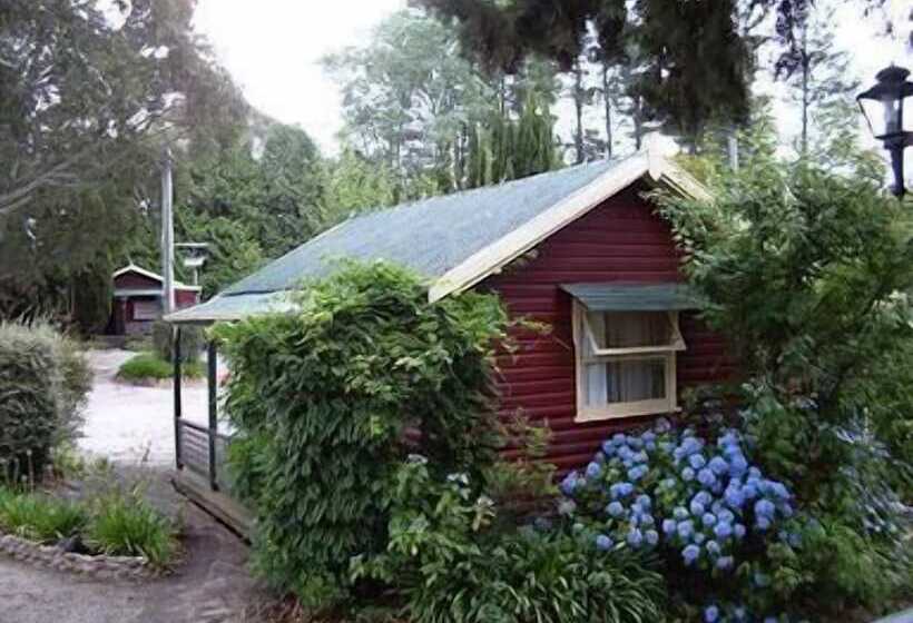 Cedar Lodge Cabins