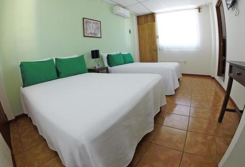 هتل Puerto Piedra