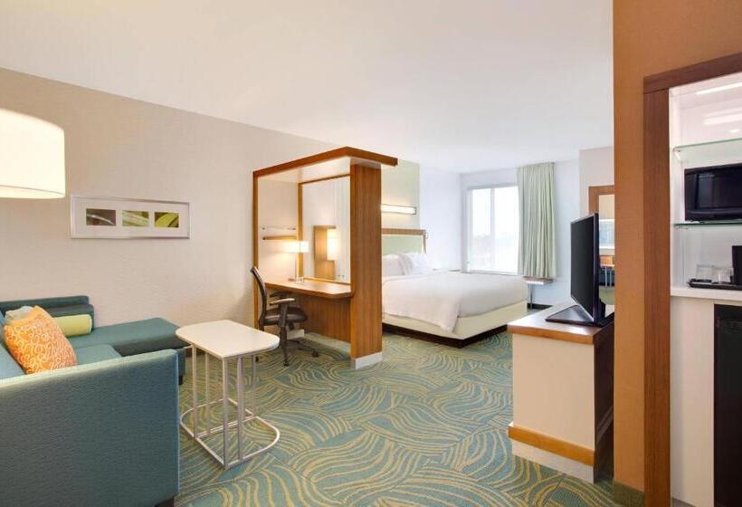 Hotel Springhill Suites Murray