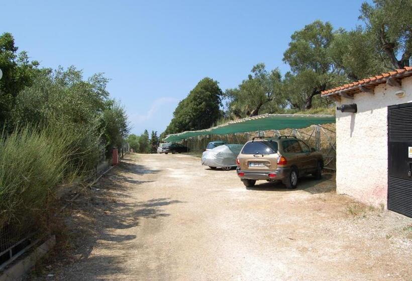 هتل Zante Palace