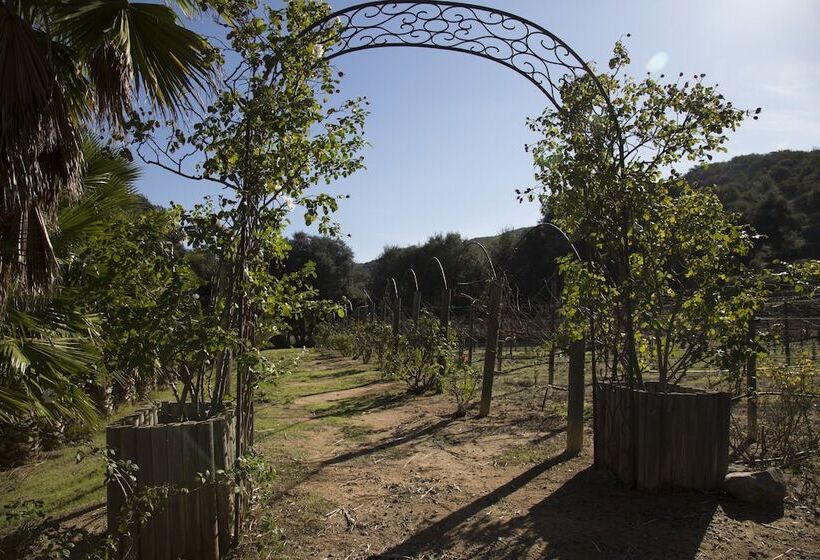 بنسيون Vineyard Hacienda