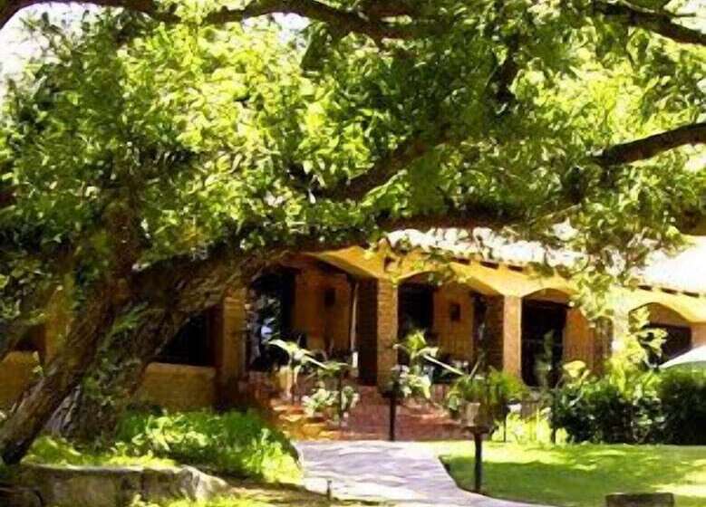 بنسيون Vineyard Hacienda