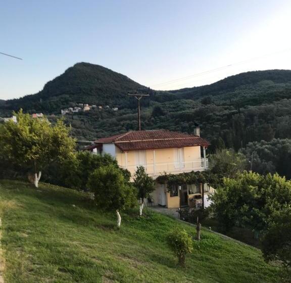 Vlassis Studios