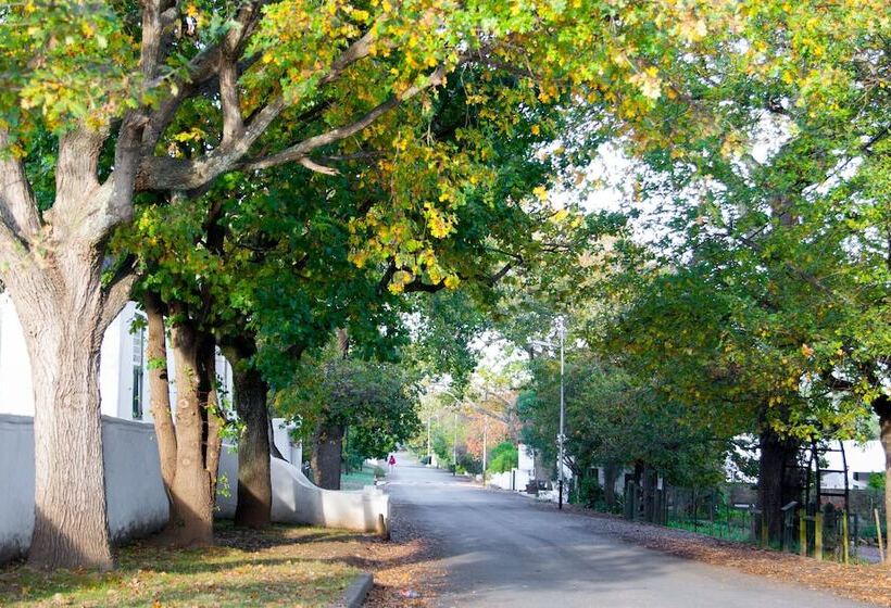 Babette Bed And Breakfast