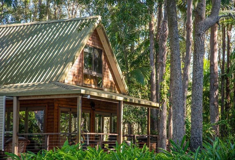 Buddha's Bungalow