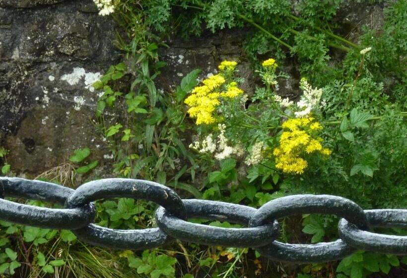 تختخواب و صبحانه Cullintra House