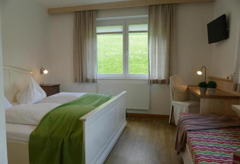 住宿加早餐  Pension Geissler Reicher