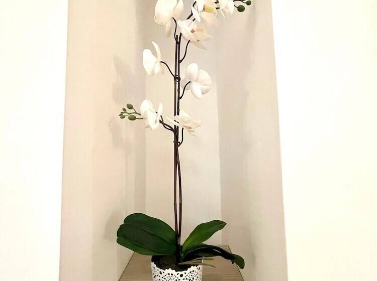 Fotos del hotel Dan In'n Out:  9