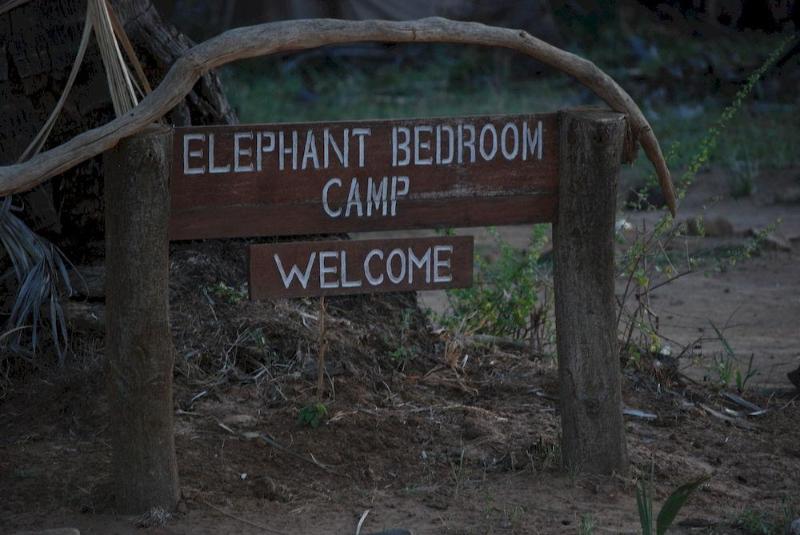هتل Elephant Bedroom Camp
