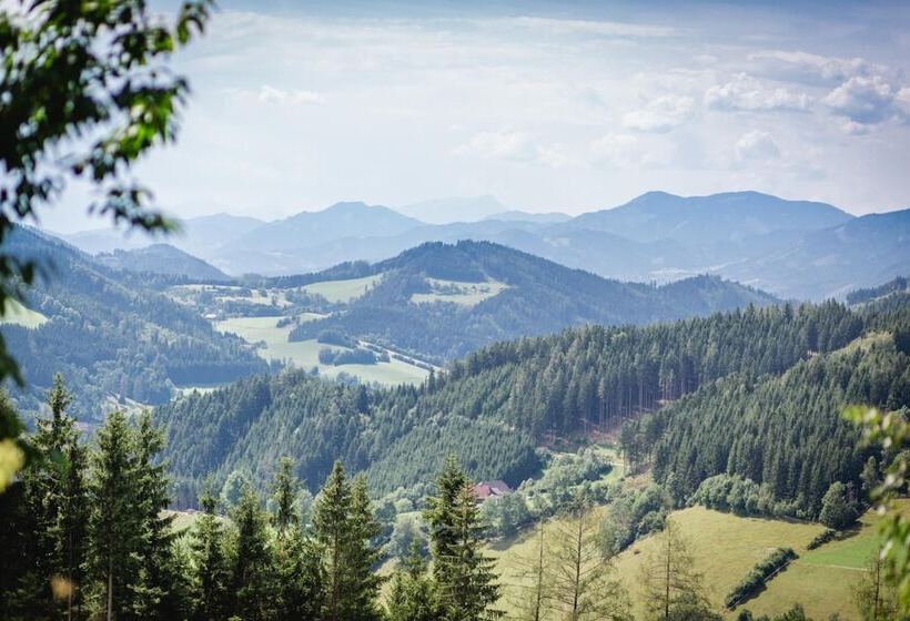 Отель Gasthof Oberer Gesslbauer