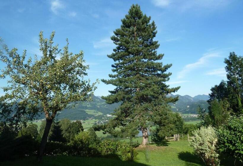 Отель Pension Schöne Aussicht