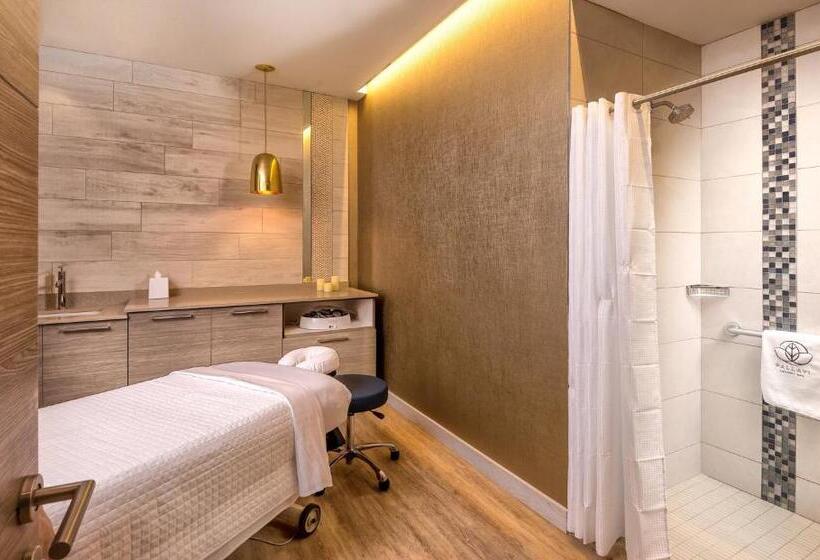 استراحتگاه Club Wyndham Clearwater Beach