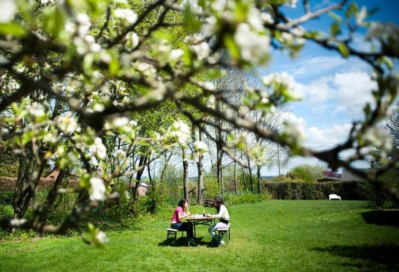 Общежитие Auberge De Jeunesse De La Roche Champlon