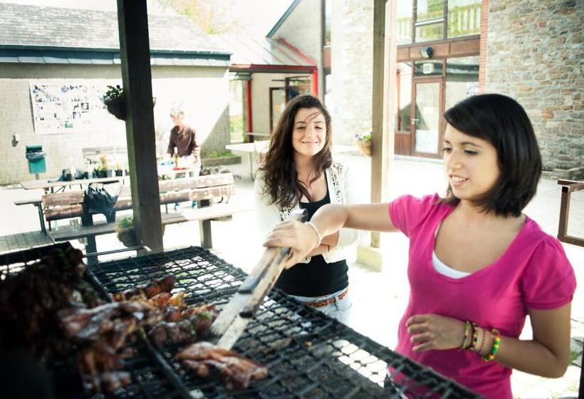 Общежитие Auberge De Jeunesse De La Roche Champlon