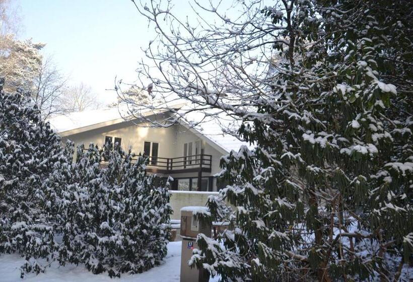 B&b Wepa Hof