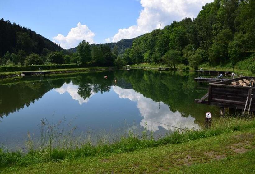 酒店 Seegasthof Breineder   Familien & Seminar