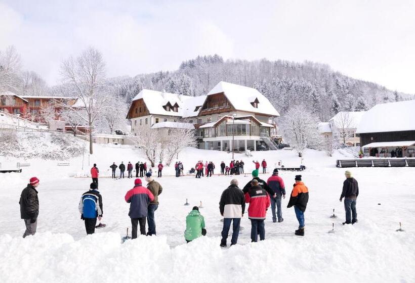 酒店 Seegasthof Breineder   Familien & Seminar