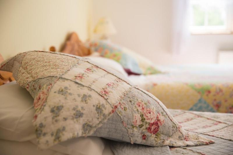 Shannon Breeze B&b