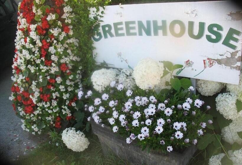 B&b Greenhouse 37