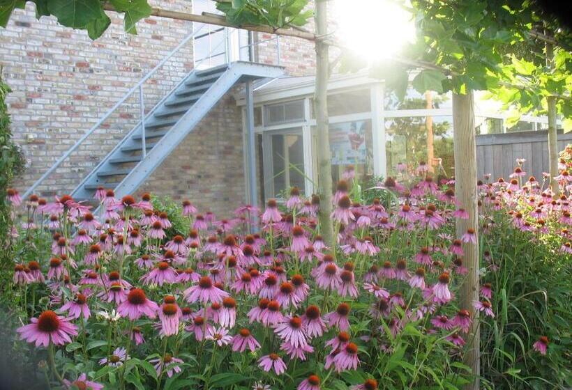 B&b Greenhouse 37