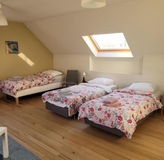 B&b Molen Ter Walle
