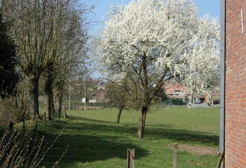 B&b Molen Ter Walle