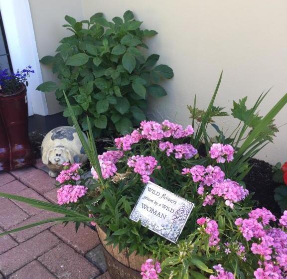 צימר 2 Mile Lodge