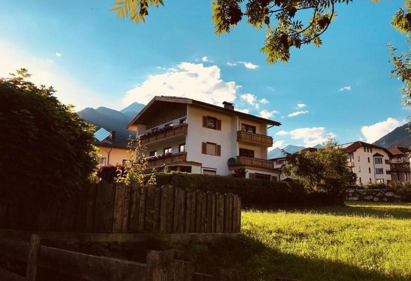 Bed and Breakfast Gästehaus Schneeberger