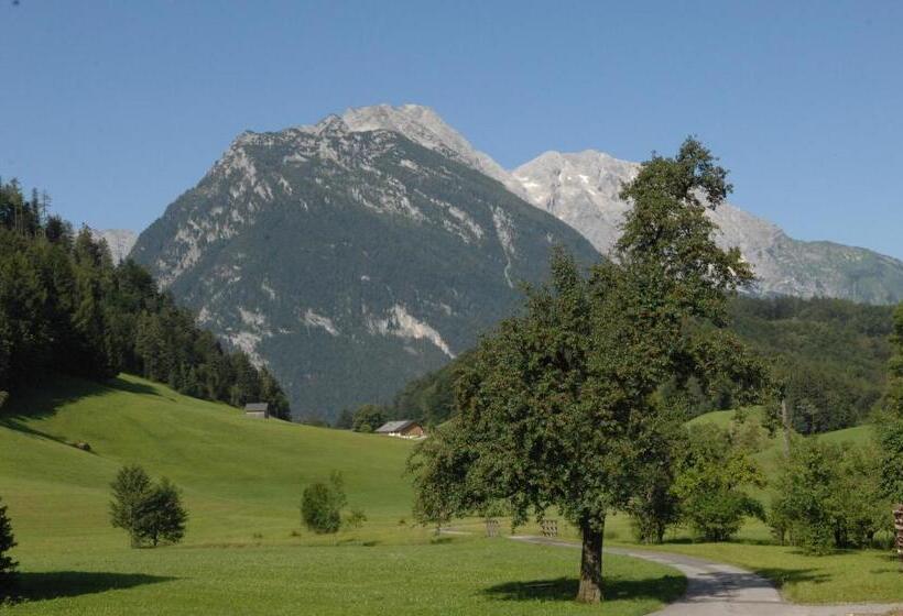 Bed and Breakfast Hinterkellaubauer