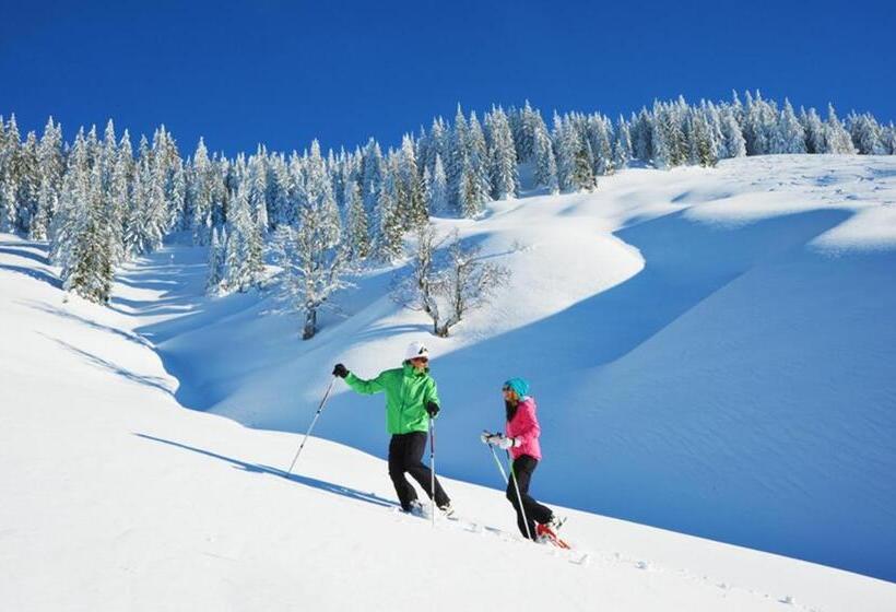 هتل Alpenrose Mühlbach Am Hochkönig